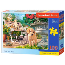 пазли Castorland  100 ел.  B-111220  (20)