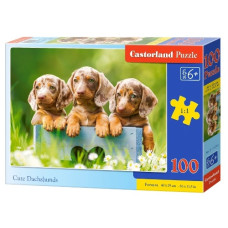 пазли Castorland  100 ел.  B-111213  (20)