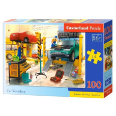 пазли Castorland  100 ел.  B-111206  (20)