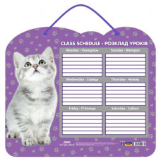 розклад уроків Maxi ламінований 40,5х35см.  CF82400-01  (8/160)