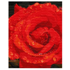 картина за номер. Ідейка 40х50см. "Троянда в діамантах"  КНО3207