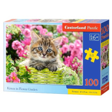 пазли Castorland  100 ел.  B-111039  (20)