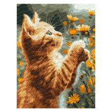 картина за номер. Ідейка 30х40см. "Рудий пухнастик"  КНО6607