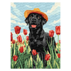 картина за номер. Ідейка 30х40см. "Чарівний лабрадор"  КНО6621