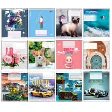 зошит Бріск  12арк. лінія  ТВ-107  (25/500)