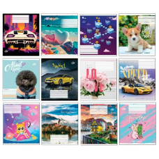 зошит Бріск  12арк. коса лінія  ТВ-107  (25/500)