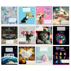 зошит Бріск  18арк. клітинка  ТВ-108  (25/500)