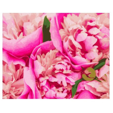 картина за номер. Art Craft 40х50см. "Рожева Магу"  12131-АС