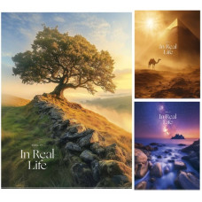 зошит А4 Школярик 80арк. виб. УФ-лак, білий блок, кліт.  А4-080-5249К  (42)