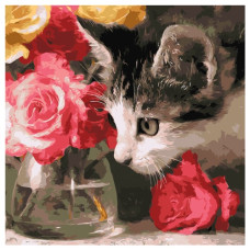 картина за номер. Ідейка 40х40см. "Пухнастий дослідник"  КНО6804