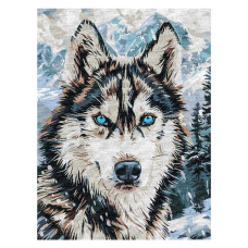 картина за номер. Ідейка 30х40см. "Очі півночі"  КНО6842