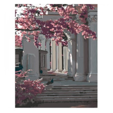 картина за номер. Strateg 40х50см. "Серед колон"  GS1321  (43)