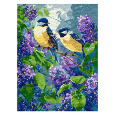 картина за номер. Ідейка 30х40см. "Весняний дует"  КНО6654