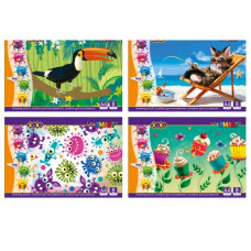 альбом Zibi Smart Line на скобі  8арк./100гр.  ZB.1413  (40/240)